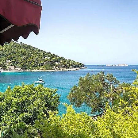 فندق Boutique & Wolff 4*