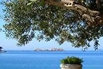 Ξενοδοχείο Boutique & Wolff 4*