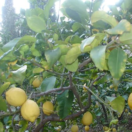 Boutique & Wolff Hotel 4*